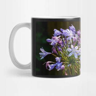 Agapanthus close-up Mug